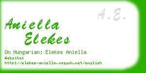 aniella elekes business card